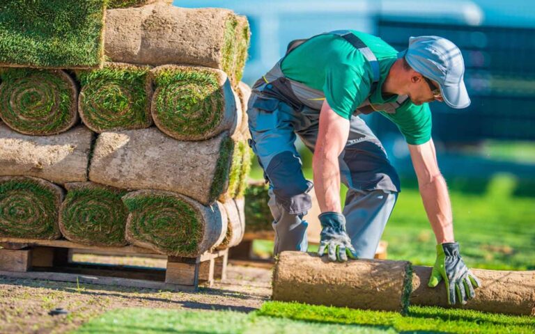Landscaping Services 768x480